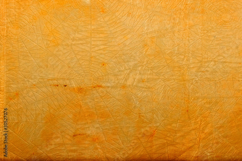 Sheet of old parchment