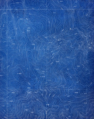 Topographical Blueprint Pattern