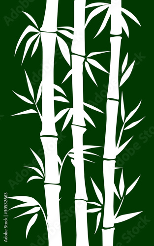 Bamboo tree © ColorValley