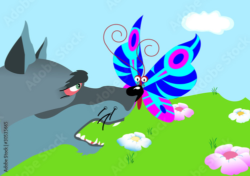 butterfly sit on nose wolf