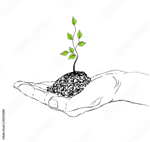 hand and sapling
