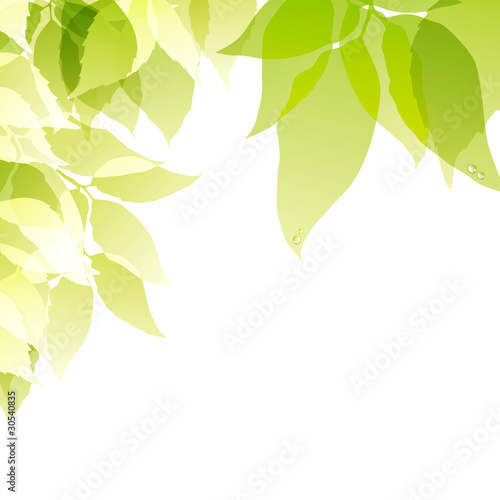 green background