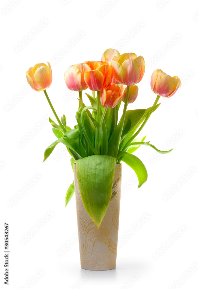 Colourful tulips Colourful tulips