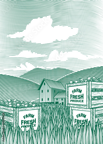 Woodcut Vegetable Crates