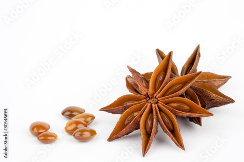 Anise star on white background