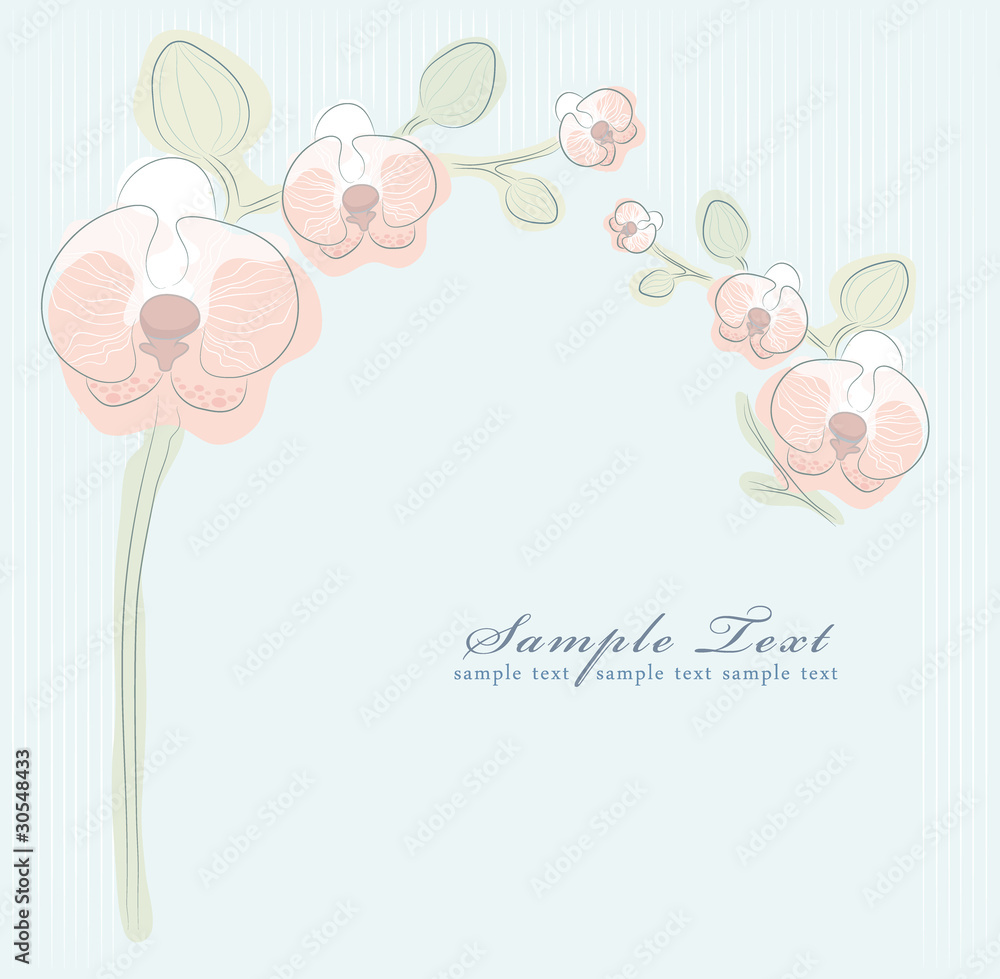 Floral orchid background
