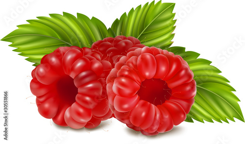 Vector illustration of ripe raspberries.