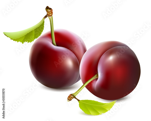 Vector plums with leaves