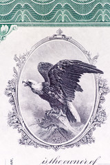 Bald Eagle Engraving Old U.S. Stock Certificate