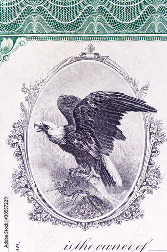 Konstfotografi Bald Eagle Engraving Old U.S. Stock Certificate