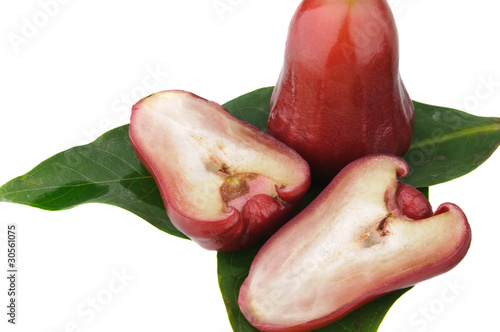 rose apples on green leaf photo