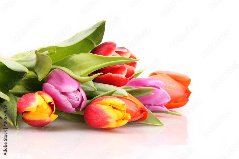 Bouquet of tulips, isolated on white background Bouquet of tulips, isolated on white background
