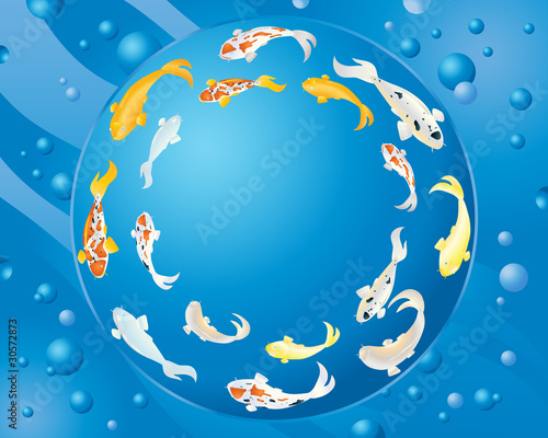 circular koi carp design