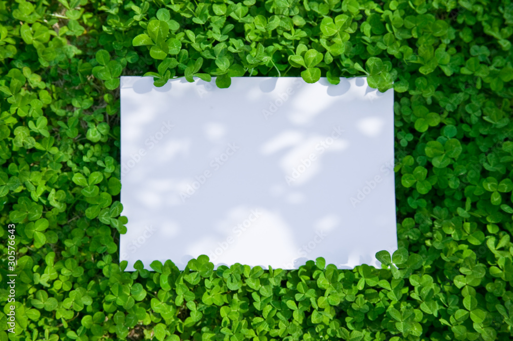 paper_clover_029 paper_clover_029