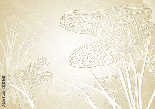 nature background