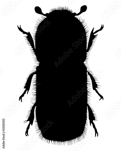 Buchdrucker Silhouette