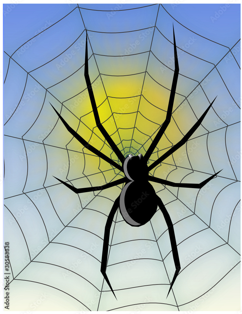 Spider web arachnid animal fauna trap net website Stock Vector | Adobe Stock