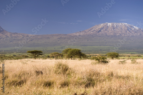 Kilimanjaro Mountain © forcdan