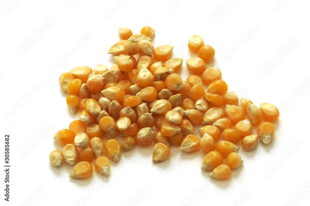 Popcorn Popcorn