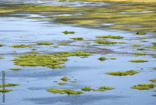 Amboseli National Park