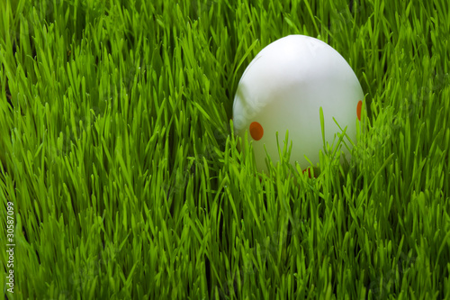 Easter Eggs on green grass