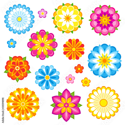 Vector flowers set