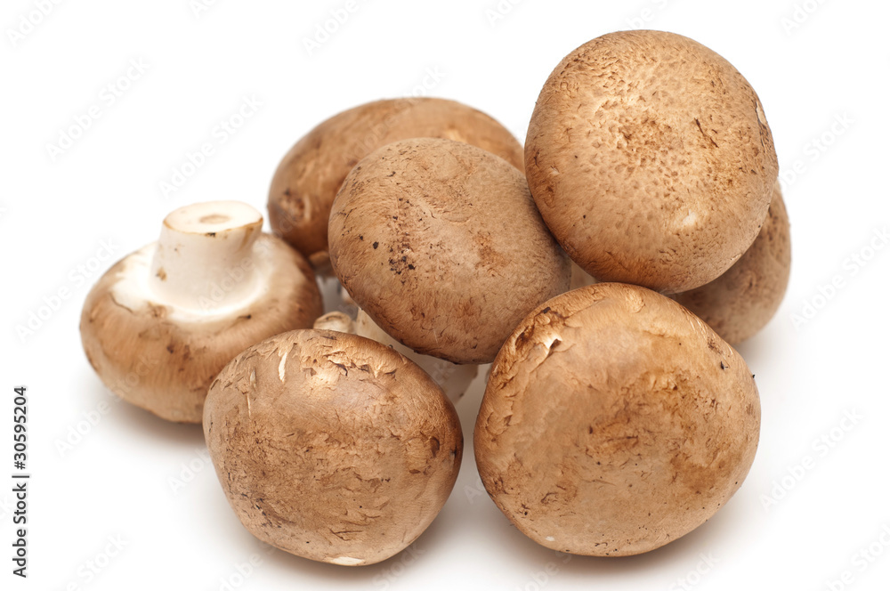 Portabella and button mushrooms in a pile on white Portabella and button mushrooms in a pile on white