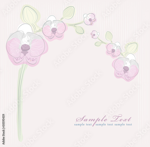 Floral pink orchid background