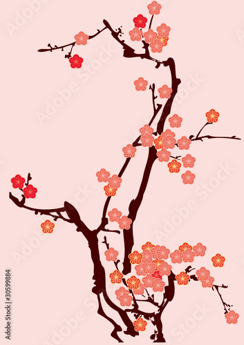 梅花