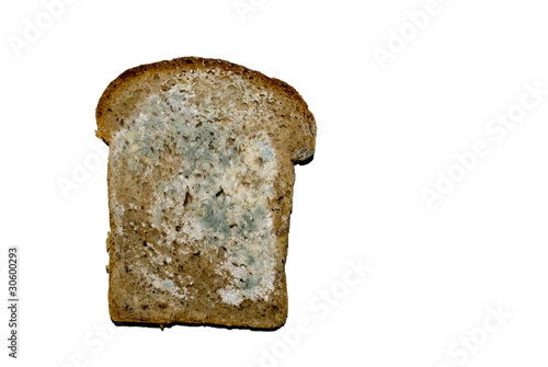 Isolated moulded bread photo