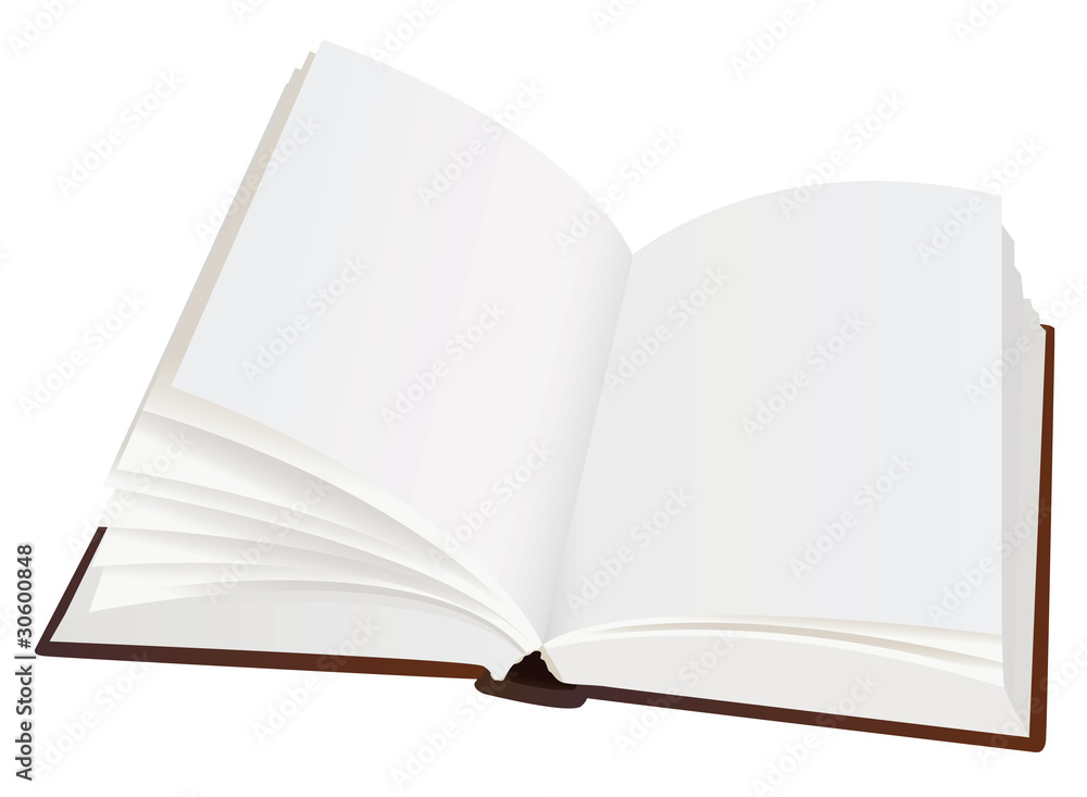 realistic opened book with blank pages, vector realistic opened book with blank pages, vector