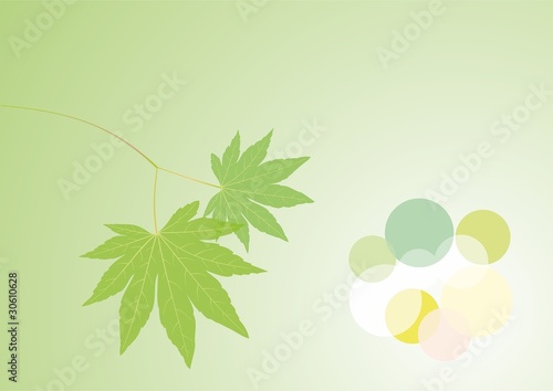 spring leaves