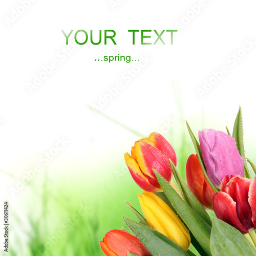 Fototapeta Naklejka Na Ścianę i Meble -  bouquet of tulips