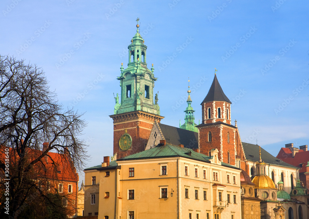 Obraz premium wavel castle
