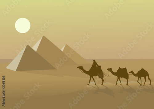 vector illustration with egypr pyramid and camels