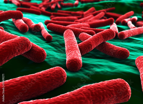 E coli Bacteria close up