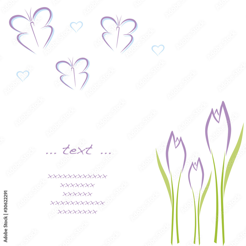 schmetterlinge schmetterlinge