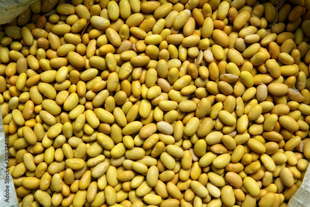 dried green beans pattern texture background dried green beans pattern texture background