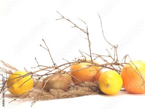 owoce - fruits
