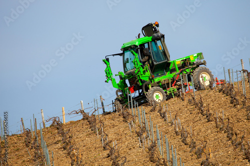 paysage viticole chablis