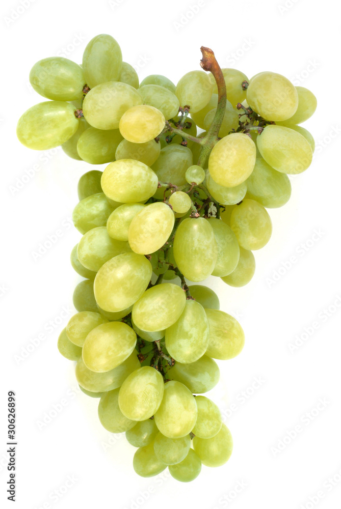 Grappe de raisin blanc