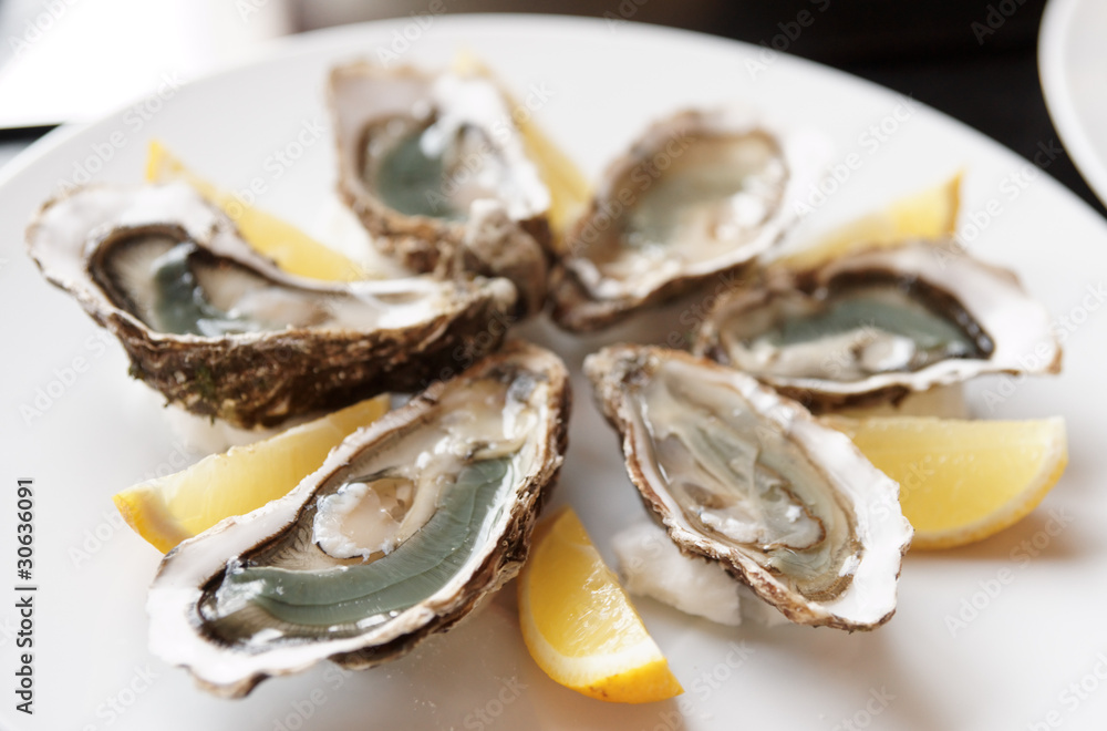 Fresh oysters on plate with lemon Fresh oysters on plate with lemon