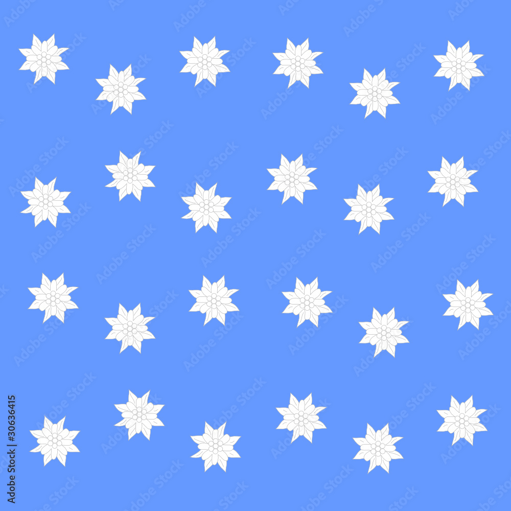 Edelweiss Edelweiss