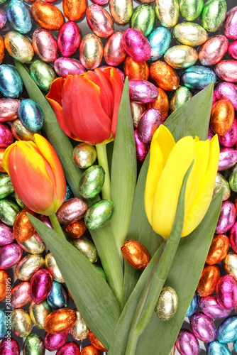 tulips on a background of chocolate candies