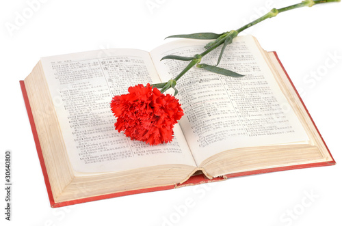 Carnation and book