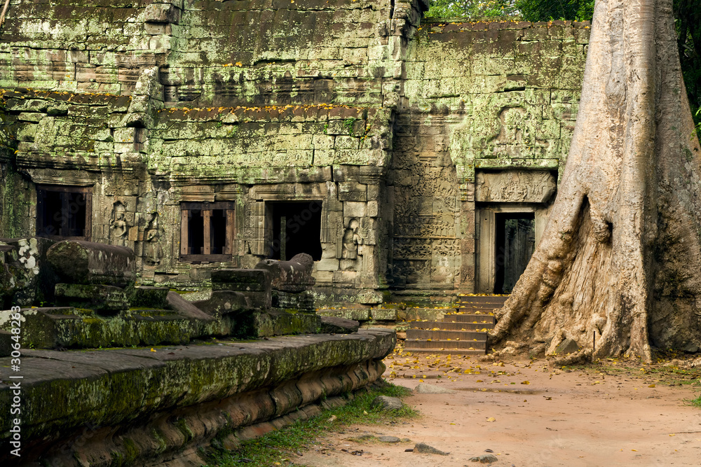 Obraz premium Ta Prohm Temple in Cambodia