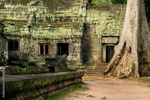 Ta Prohm Temple in Cambodia