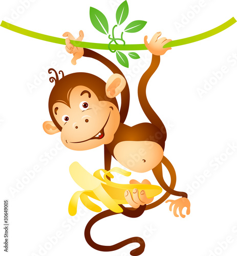 Monkey on liana