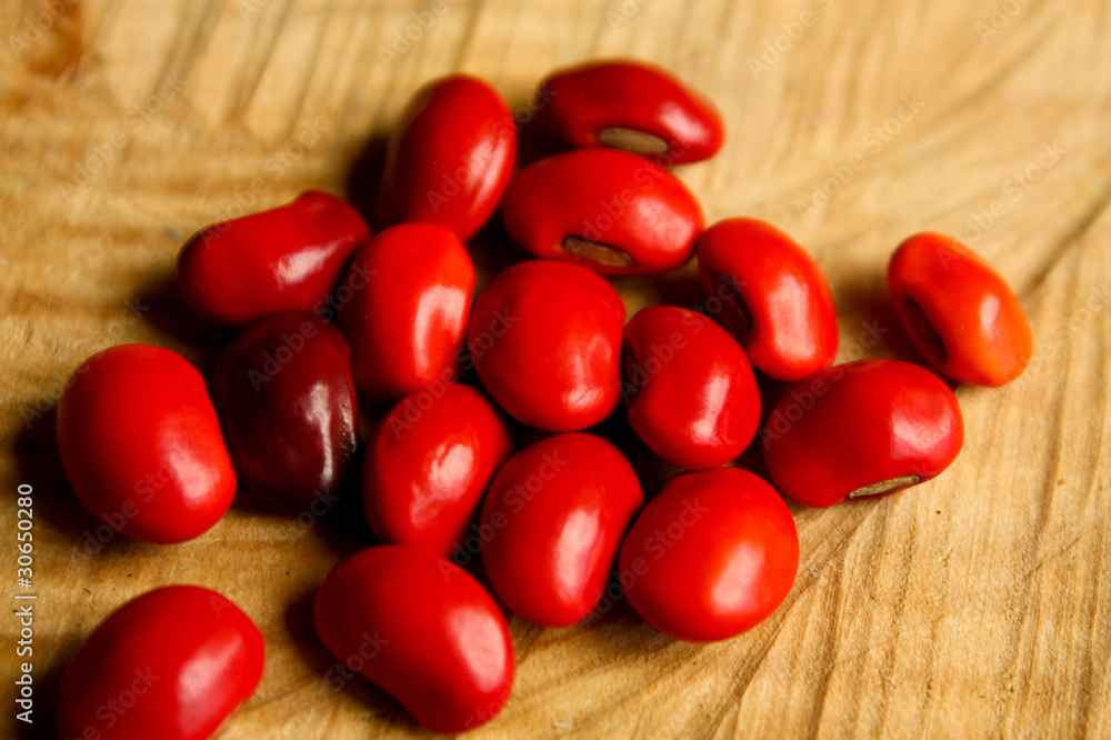 common bean common bean