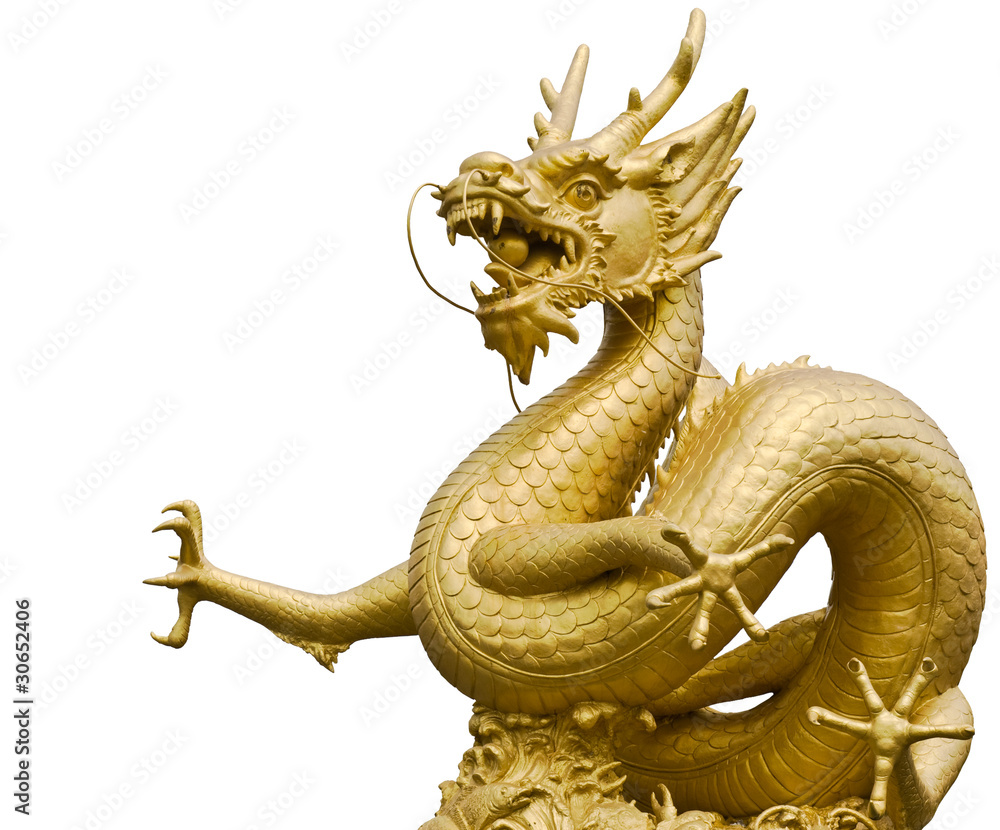 Fototapeta premium The great sea dragon of Indian ocean